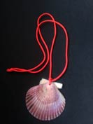 Concha de zamburia